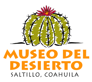 museo_desierto